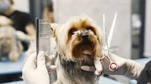 Caring Pet Groomers